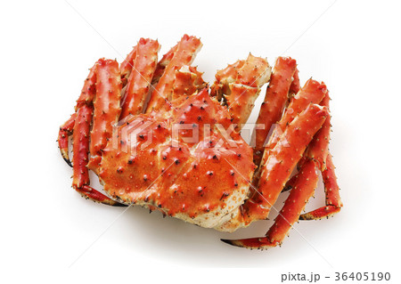 タラバガニ 36405190