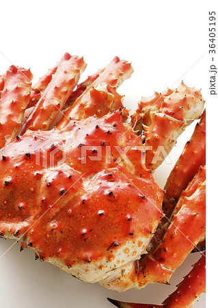 タラバガニ 36405195