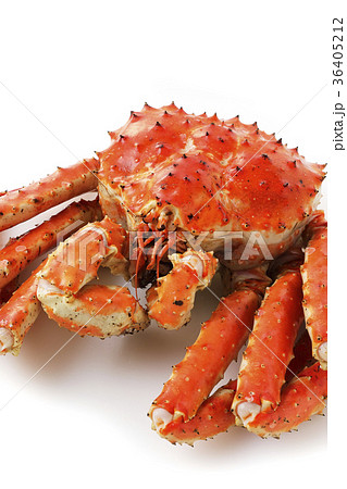 タラバガニ タラバガニ 36405212