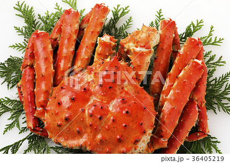 タラバガニ タラバガニ 36405219