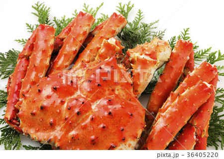 タラバガニ タラバガニ 36405220