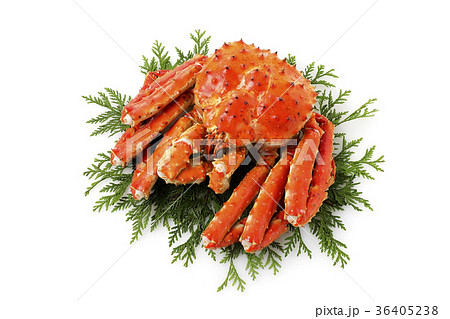 タラバガニ 36405238