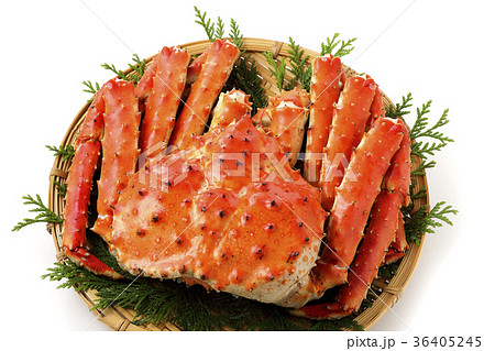 タラバガニ タラバガニ 36405245