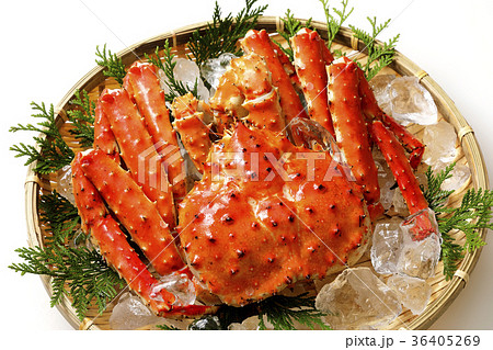 タラバガニ タラバガニ 36405269