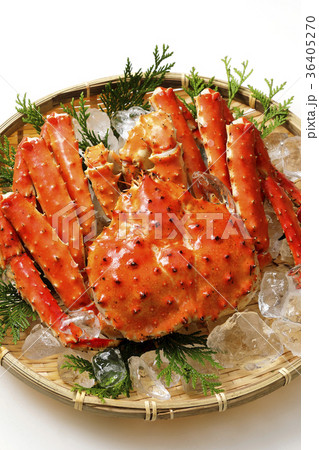 タラバガニ タラバガニ 36405270