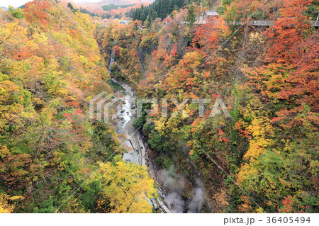 小安峡の紅葉16の写真素材