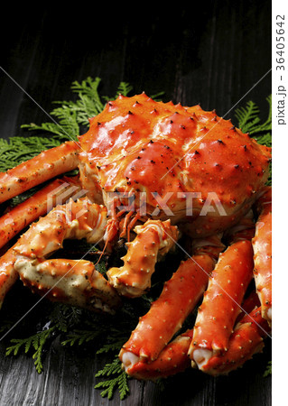 たらばがに たらばがに 36405642