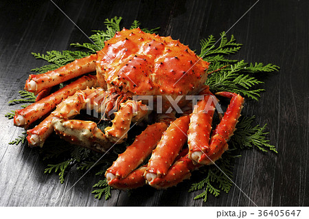 たらばがに たらばがに 36405647