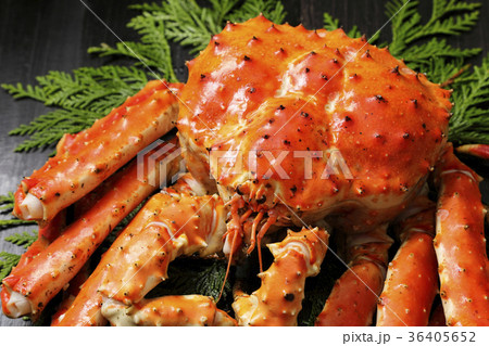 たらばがに たらばがに 36405652