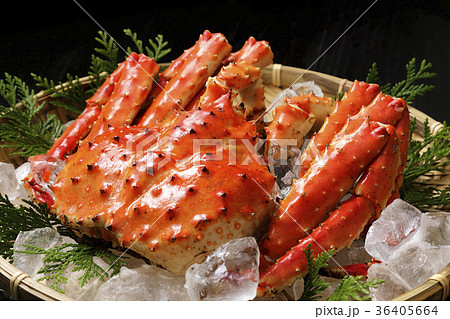 たらばがに たらばがに 36405664