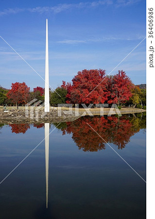 紅葉の美しい秋の岡山県総合グラウンド 36406986