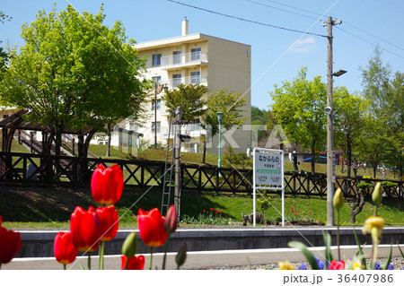 中富良野駅　イメージ素材 36407986