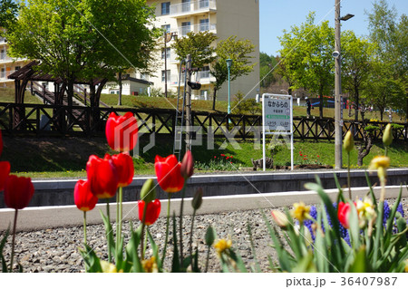 中富良野駅　イメージ素材 36407987