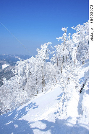 雪の高見山と霧氷 雪の高見山と霧氷 36408072
