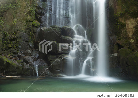 新宮桑の木の滝 36408983