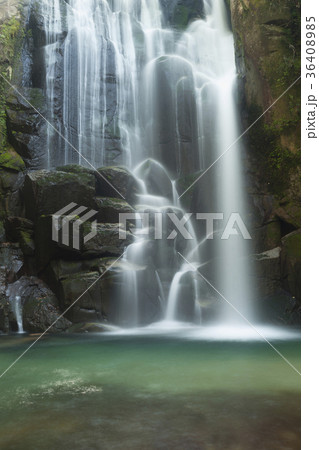 新宮桑の木の滝 36408985