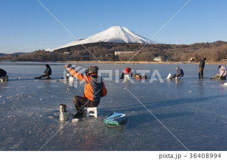 山中湖のワカサギ釣り 山中湖のワカサギ釣り 36408994