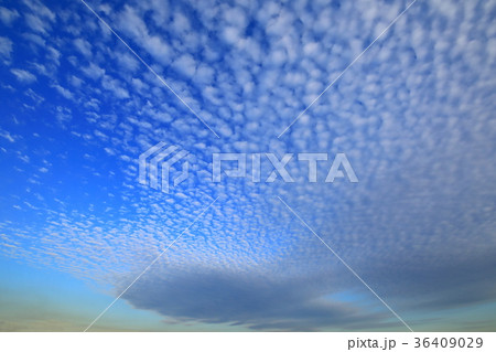 爽やかな青空と雲Ⅱ 36409029