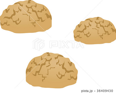 まころん まころん 36409430