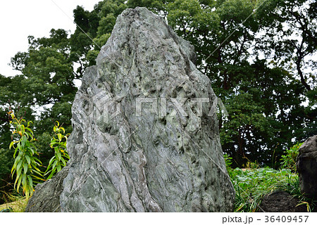 紀州青石 36409457