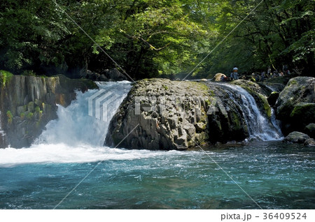 黎明の滝〜菊池渓谷〜 黎明の滝〜菊池渓谷〜 36409524