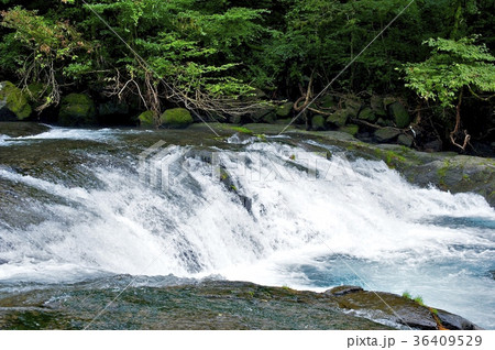 四十三万滝〜菊池渓谷〜 四十三万滝〜菊池渓谷〜 36409529