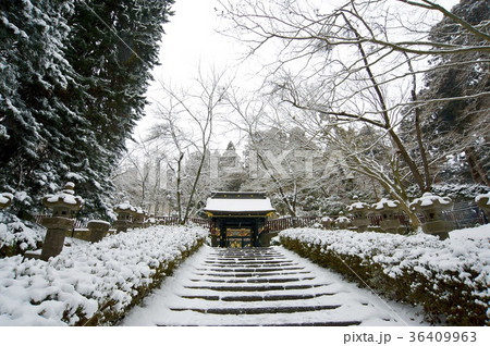 雪の瑞鳳殿 36409963