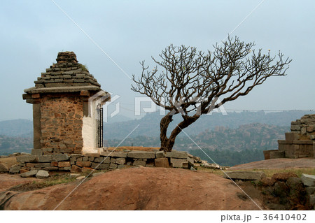 Tree and Temple 36410402