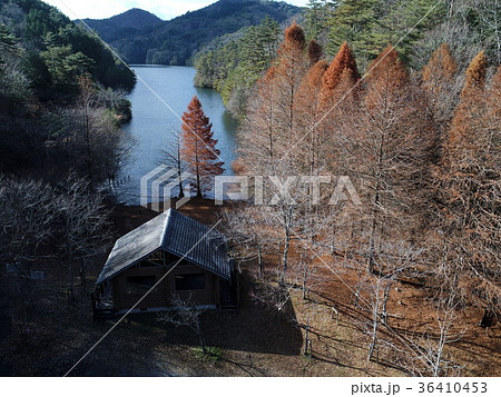 母子大池　もうしおおいけ　兵庫県三田市① 36410453
