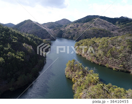 母子大池　もうしおおいけ　兵庫県三田市③ 36410455