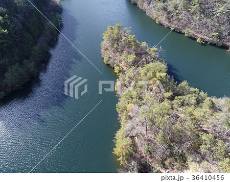 母子大池　もうしおおいけ　兵庫県三田市④ 36410456