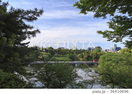 都市風景（東京、北の丸公園、新緑） 36410696
