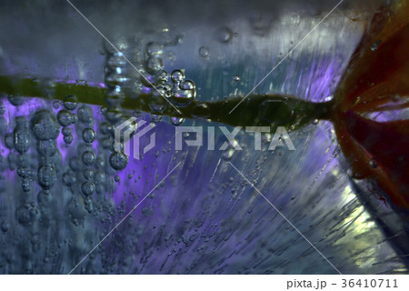 広告 言及する 宣伝 36410711