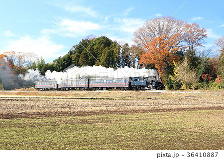 ＳＬもおか号と12月初旬の風景 36410887