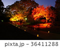 ライトアップされた熊本城細川刑部邸の紅葉 36411288