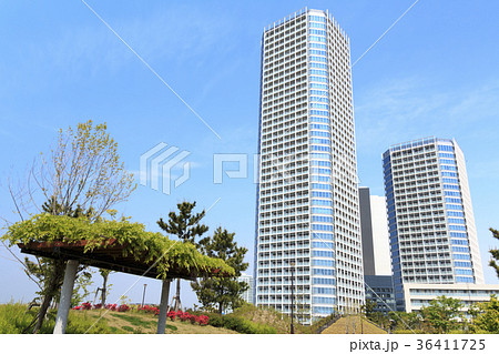 都市風景(東京、二子玉川、新緑) 都市風景(東京、二子玉川、新緑) 36411725