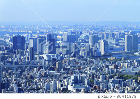 都市風景（東京、臨海部、初夏） 36411878