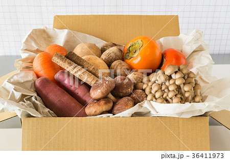 秋野菜と果物 契約農家 宅配 産地直送 旬 秋の味覚 秋野菜と果物 契約農家 宅配 産地直送 旬 秋の味覚 36411973