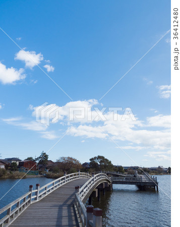 乙女ヶ池 36412480