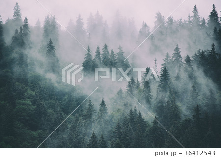 Misty mountain landscape Misty mountain landscape 36412543