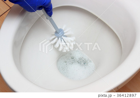 Hand of woman in blue glove cleaning toilet bowl Hand of woman in blue glove cleaning toilet bowl 36412897