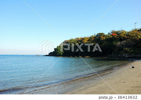 神奈川県横須賀市走水の風景 36413632