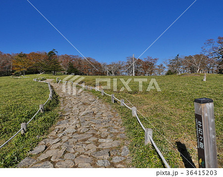 大台ケ原 36415203