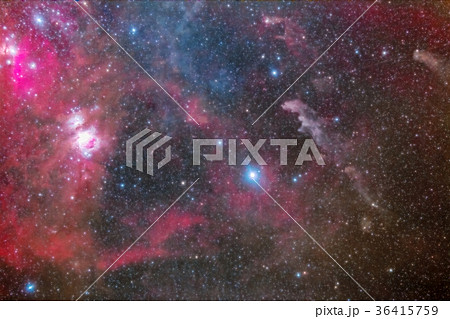 オリオン座周辺の星雲 オリオン座周辺の星雲 36415759