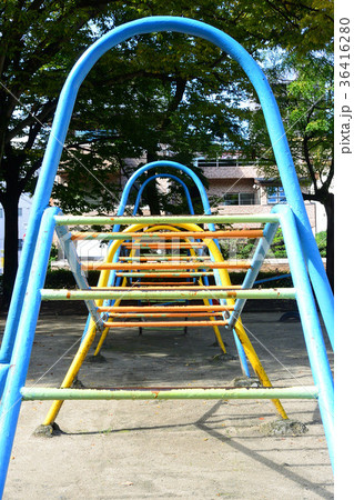 雲梯 36416280