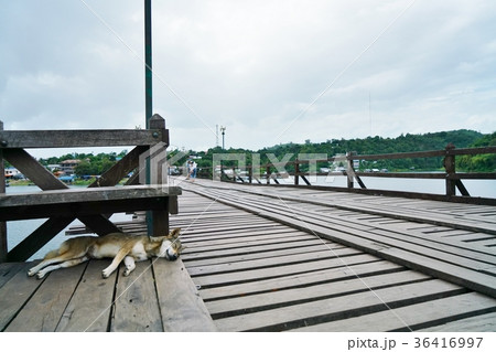 タイ王国カンチャナブリー県サンクラブリーのモン橋 ウッタマヌソン橋 の風景の写真素材