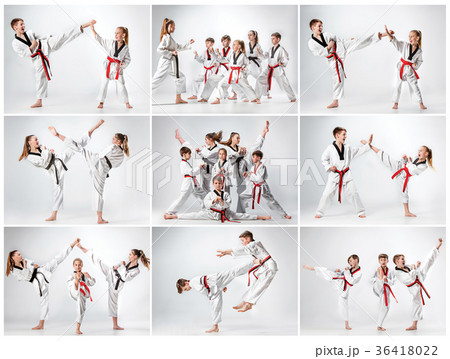 The studio shot of group of kids training karate The studio shot of group of kids training karate 36418022