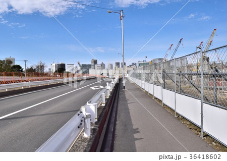 晴海ふ頭公園前道路 晴海ふ頭公園前道路 36418602