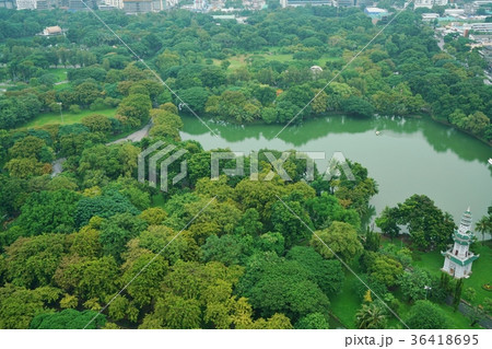タイ王国バンコク、ルンピニー公園 タイ王国バンコク、ルンピニー公園 36418695