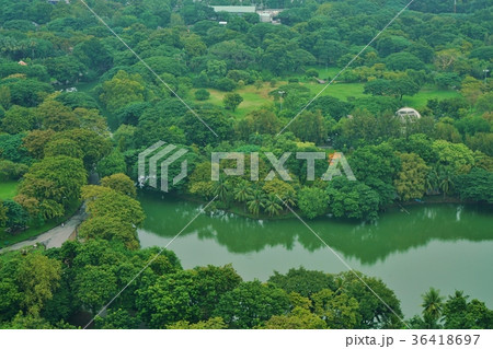 タイ王国バンコク、都市の自然、ルンピニー公園 36418697